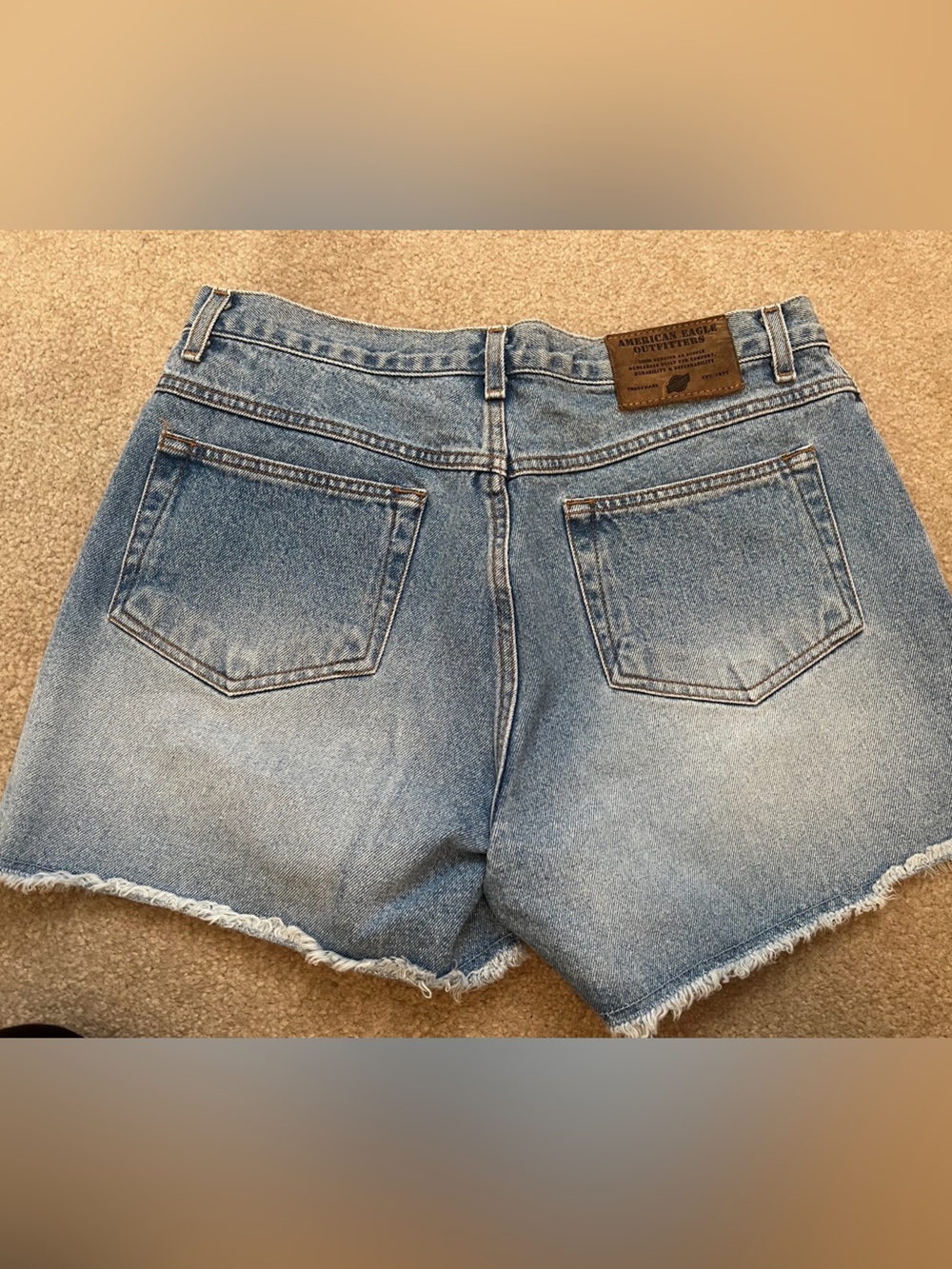 AMERICAN EAGLE AE Supply Dungarees Blue Jean Button Fly Shorts Denim Size 10